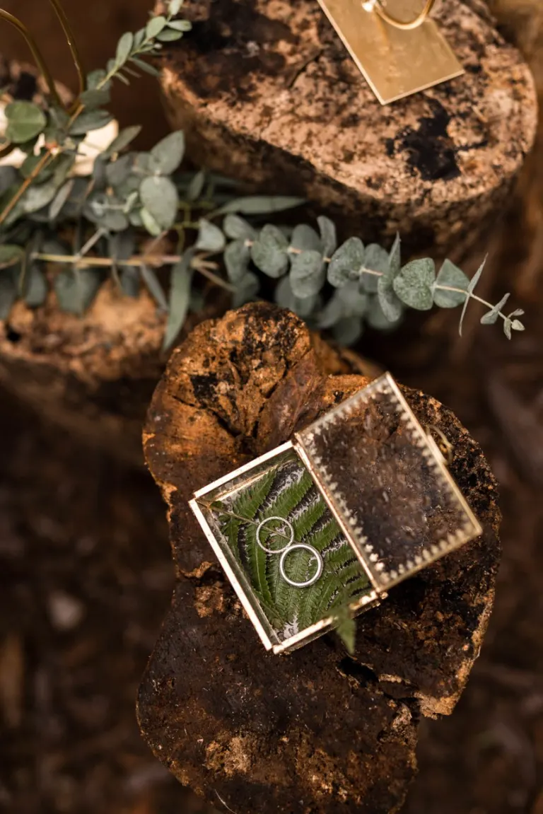 Écrin à alliances posé sur du bois, entouré de feuillage d’eucalyptus