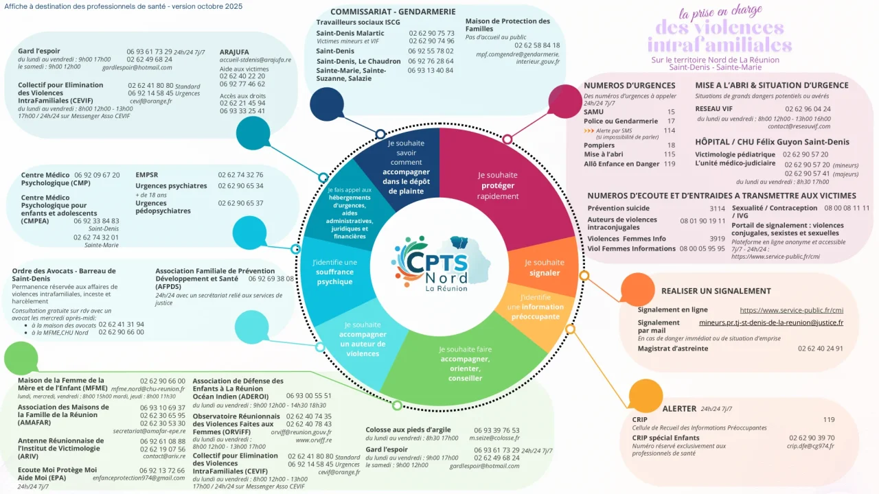 Affiche « La prise en charge des violences intrafamiliales sur le territoire Nord de La Réunion, Saint-Denis – Sainte-Marie », à destination des professionnels de santé (version octobre 2025) : roue d’orientation (protéger rapidement, signaler, information préoccupante, accompagner, orienter, conseiller, accompagner un auteur de violences, souffrance psychique, hébergement d’urgence, dépôt de plainte) et coordonnées des structures correspondantes.