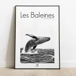 Affiche Les baleines : baleine à bosse sautant hors des vagues, dessin noir et blanc