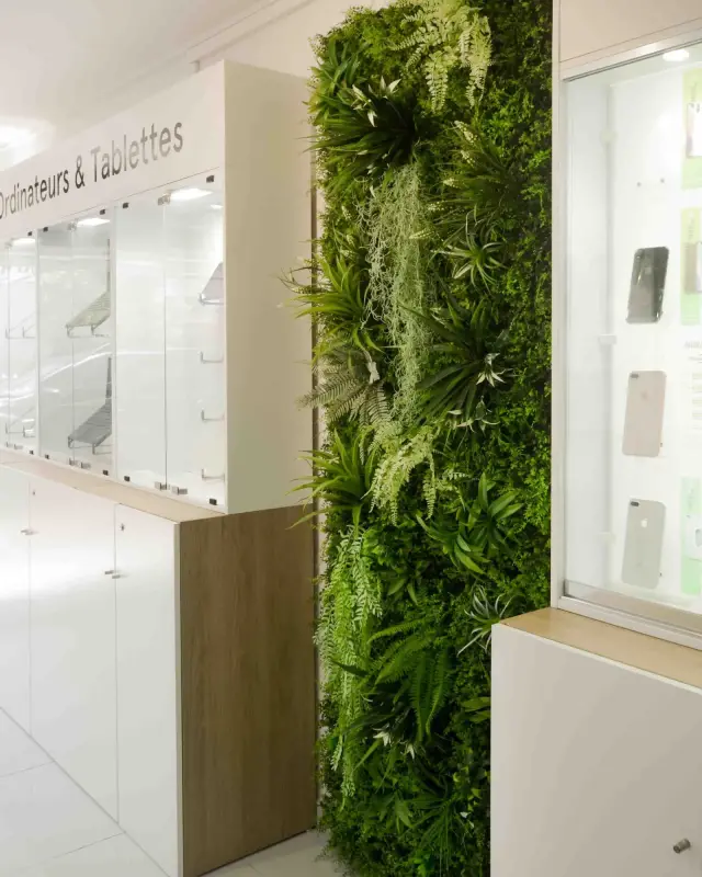 Mur végétal entre deux vitrines, panneau effet bois et vitrine Ordinateurs & Tablettes