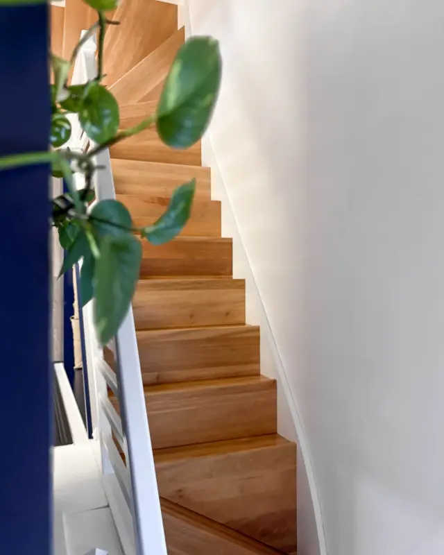 Escalier aux marches en bois et rampe blanche, mur bleu marine et plante verte
