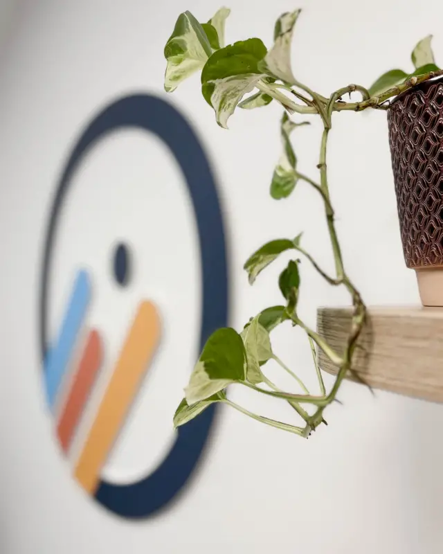 Logo du cabinet peint au mur et pothos sur une étagère en bois clair