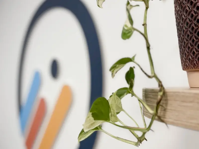 Logo du cabinet peint au mur et pothos sur une étagère en bois clair