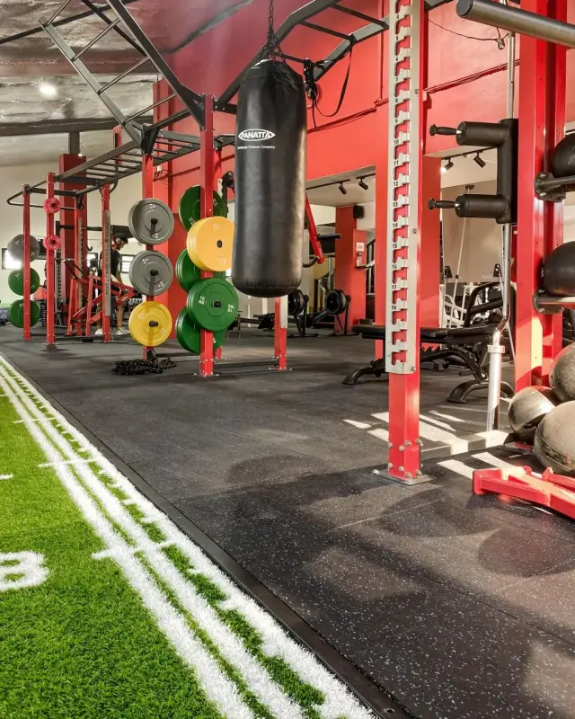 Zone d’entraînement fonctionnel d’une salle de sport à Saint-Pierre avec cage rouge, disques colorés, sac de frappe et piste en gazon synthétique