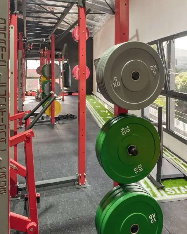 Disques de musculation verts et gris sur une cage rouge, piste en gazon synthétique le long des fenêtres