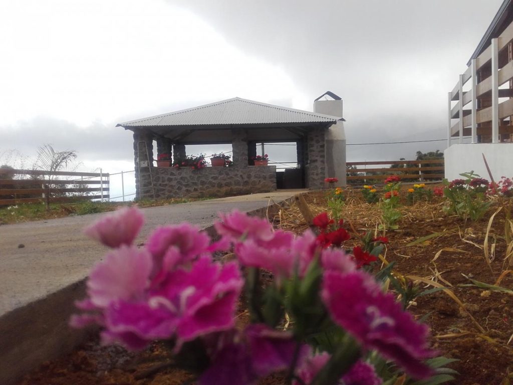 Les fleurs du jardin devant le kiosque en pierre