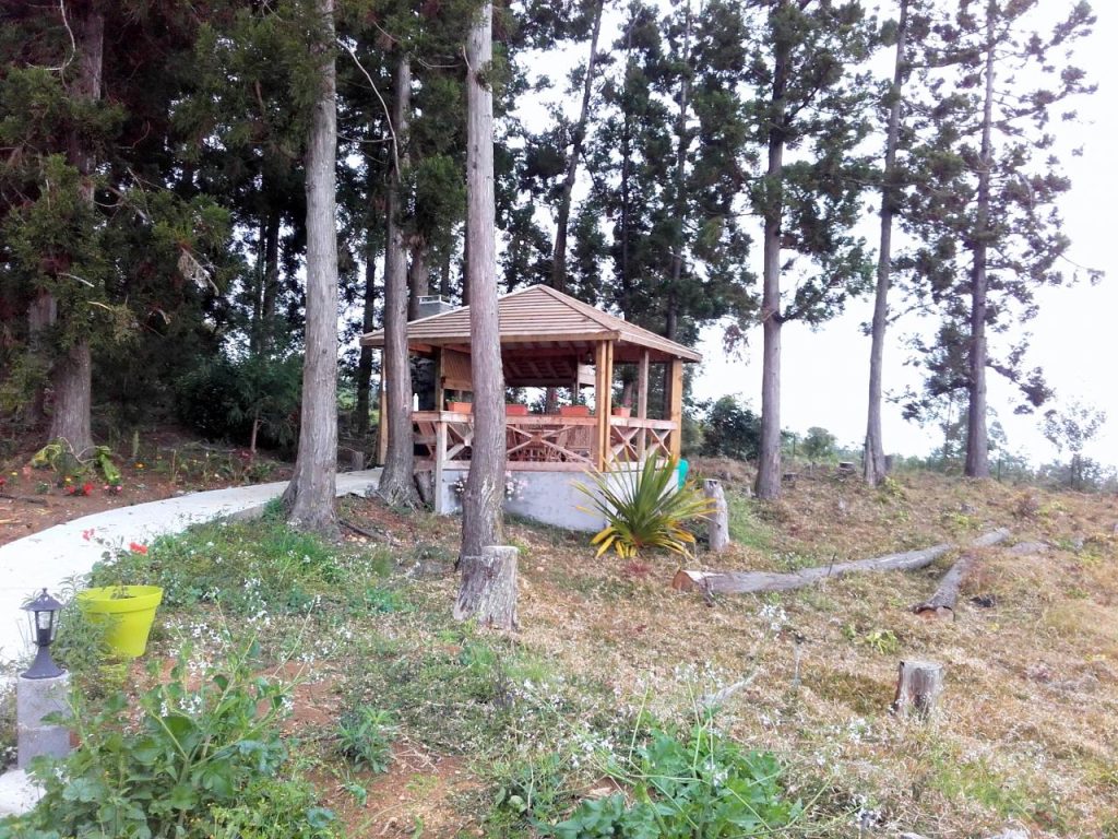 Le kiosque en bois au milieu de la forêt privative de cryptomerias