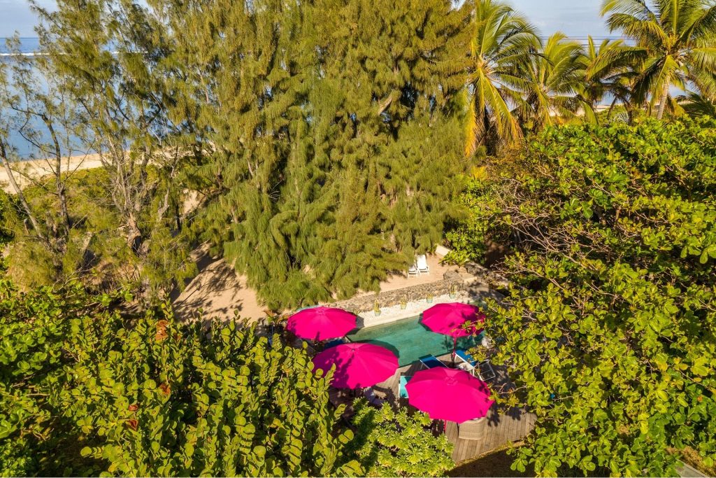 Le jardin tropical et l acces direct a la plage