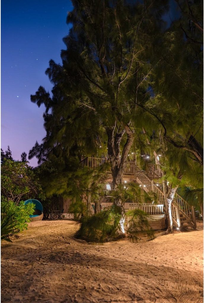 Nuit a la belle etoile dans la cabane
