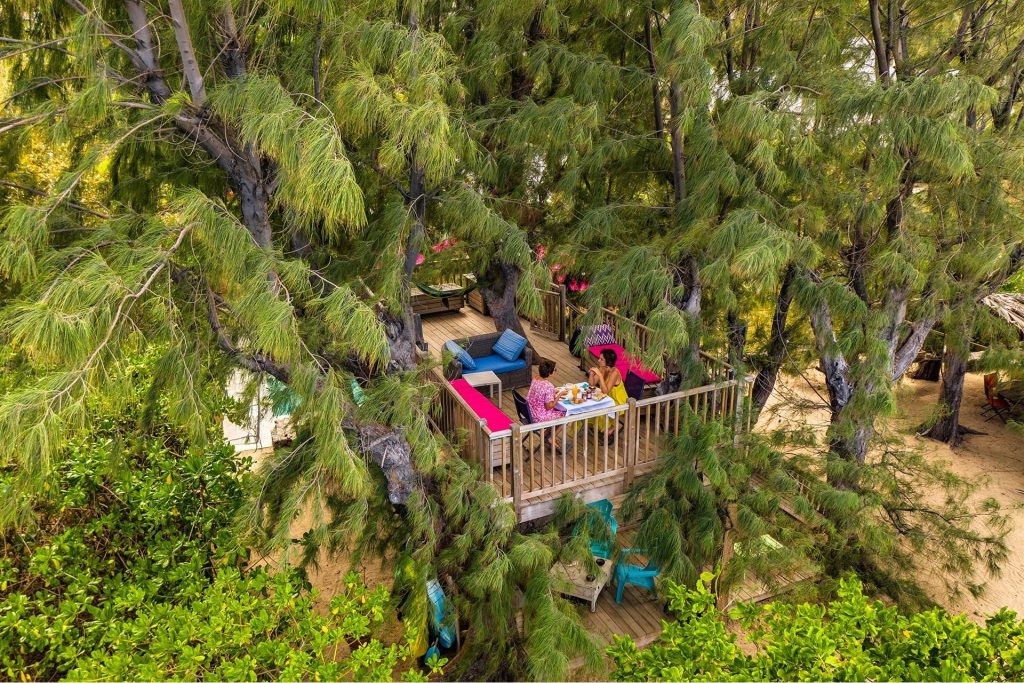 La terrasse dans les arbres avec vue sur le lagon