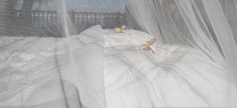 Draps blancs et fleurs de frangipanier sous la moustiquaire de la chambre à la belle étoile