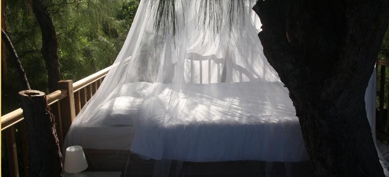 Lit sous moustiquaire installé sur la terrasse en hauteur, entre les troncs de filaos
