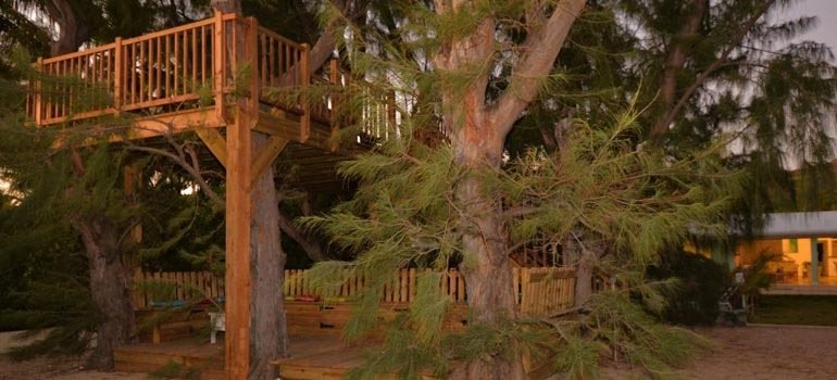 Terrasse dans les arbres perchée au-dessus du jardin, à la tombée du jour