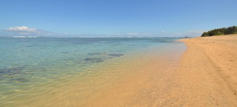 Eau transparente du lagon le long de la plage de La Saline les Bains
