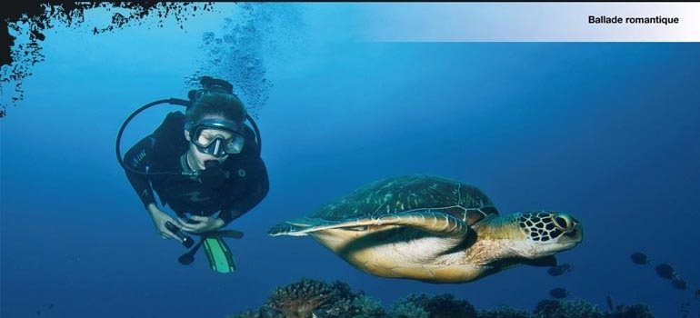 Plongeur nageant aux côtés d'une tortue marine