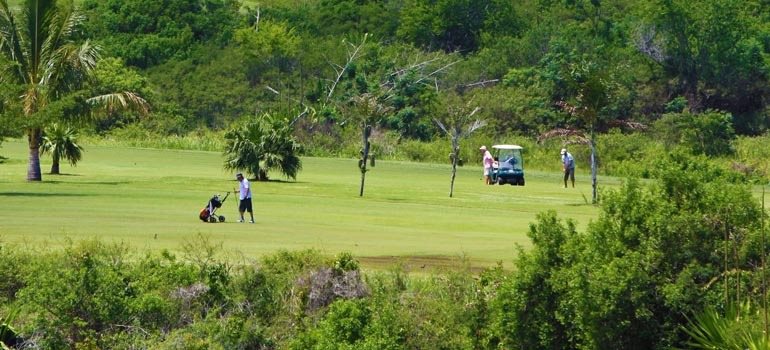 Golfeurs sur un parcours verdoyant de l'Ouest de La Réunion