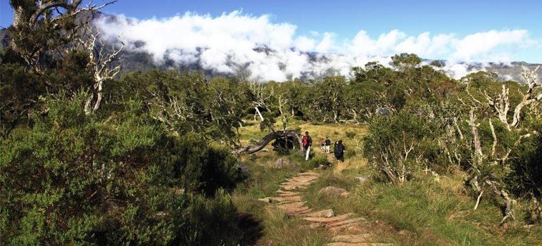 Balade à pied dans la forêt des Hauts, sous un ciel bleu et une mer de nuages
