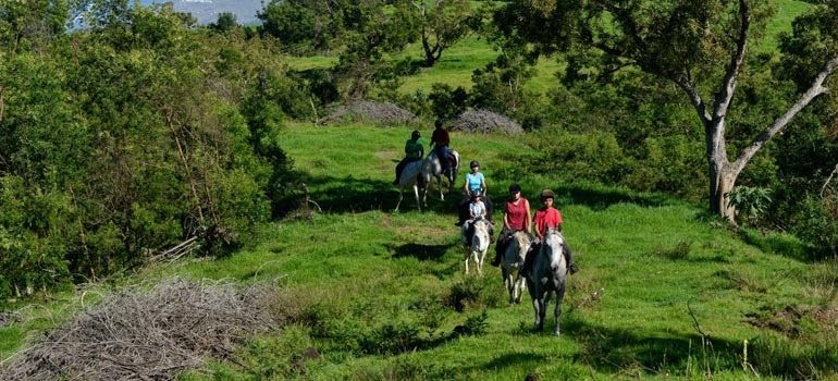 Balade à cheval en groupe dans les pâturages
