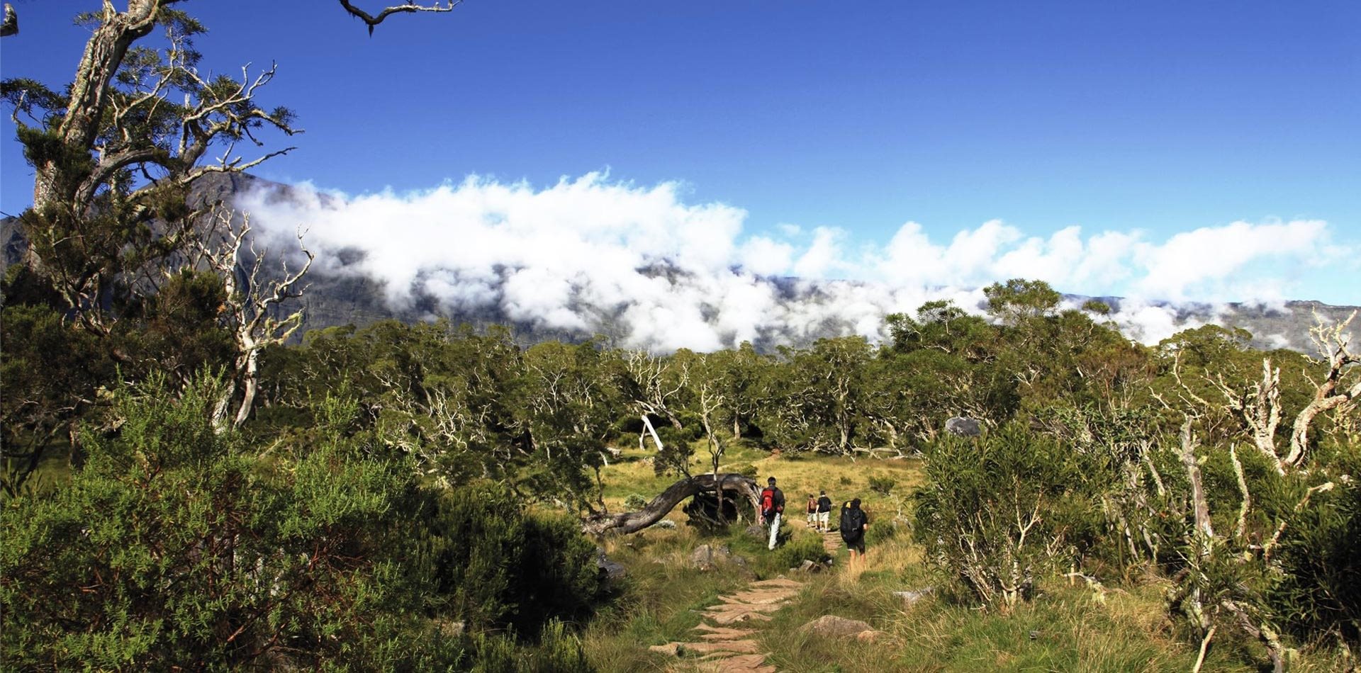 Randonneurs sur un sentier des Hauts de l'Ouest, au-dessus d'une mer de nuages