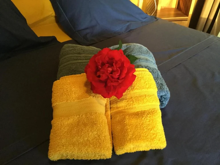 Serviettes jaunes et rose rouge posées sur le lit pour l'accueil des hôtes, Lé Fé Coco