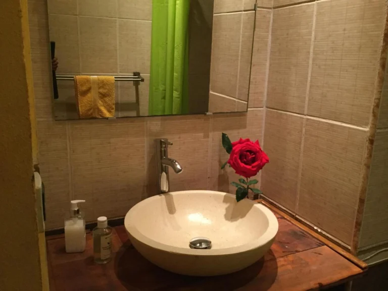 Vasque, miroir et rose rouge dans la salle de bain de la chambre Terrasse, Lé Fé Coco