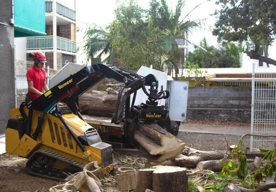 Évacuation des grumes après l’abattage d’un arbre à La Réunion