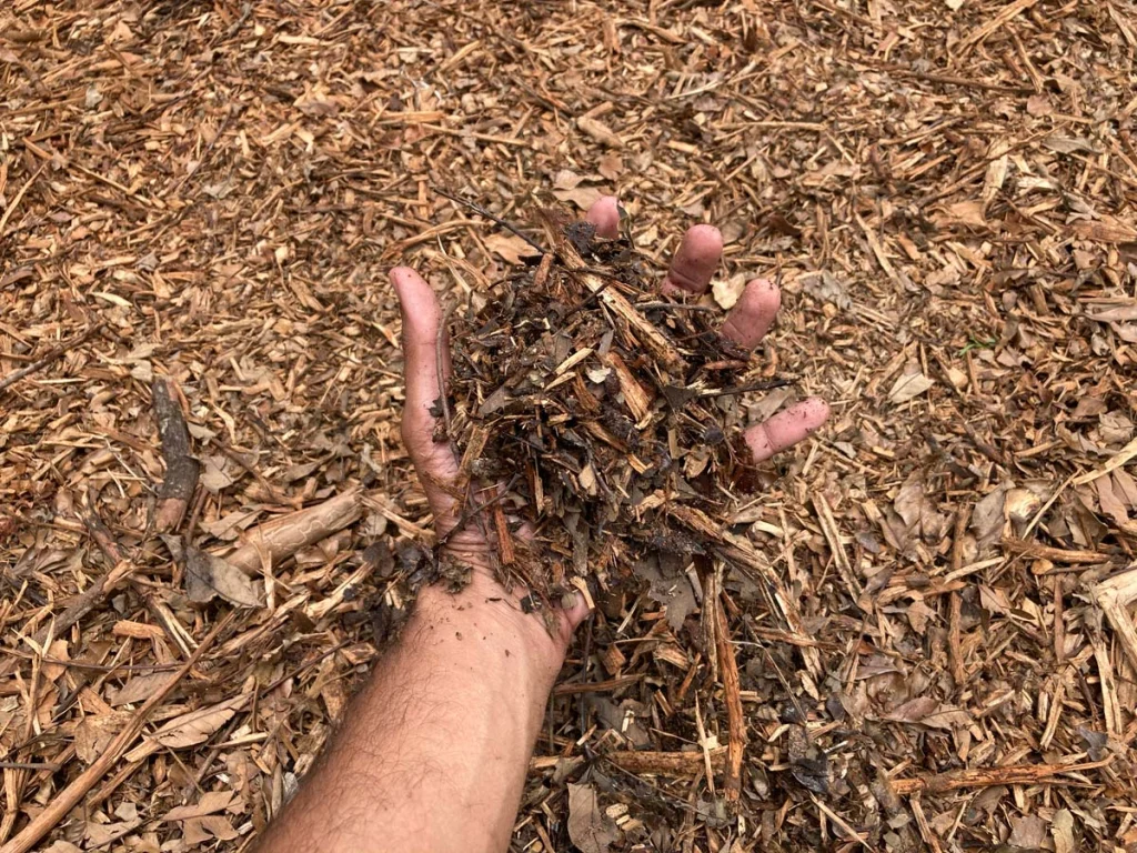 Copeaux de bois raméal fragmenté issus du broyage