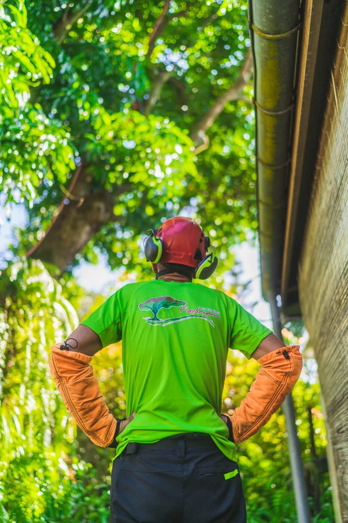 Élagueur observant un arbre avant intervention