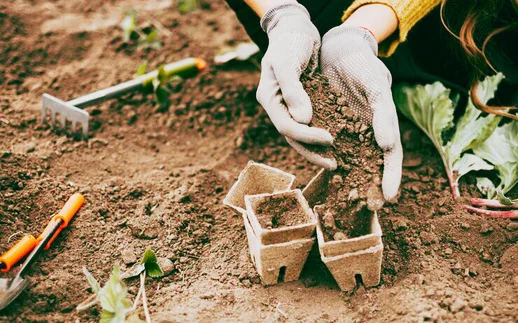Préparation de semis en godets au potager