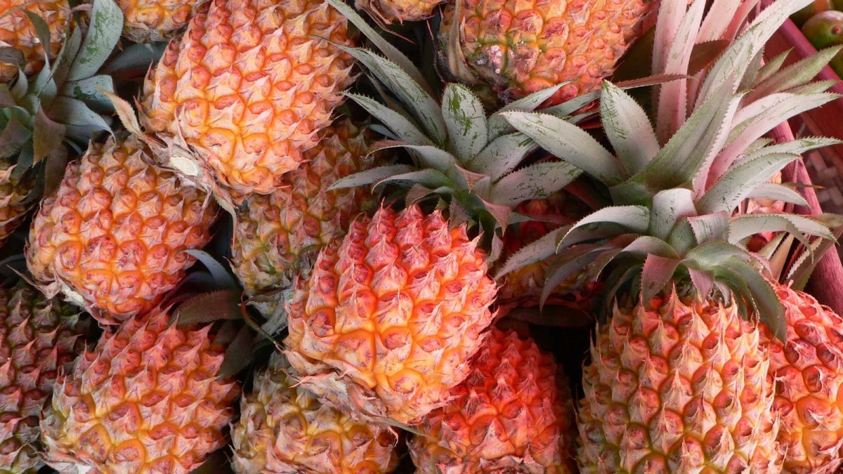 Ananas