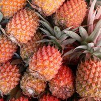 Ananas Victoria