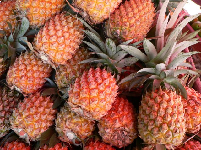 Ananas Victoria