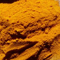Curcuma en poudre