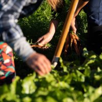 Les Jardins de Grand Coude