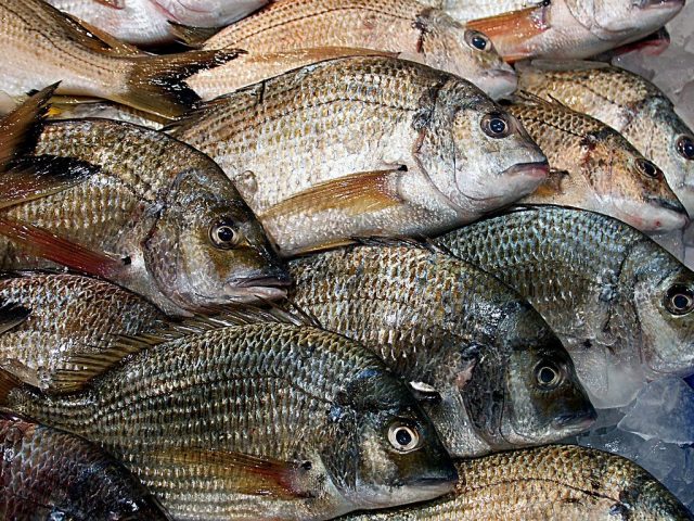 Pêcheurs de Saint-Gilles