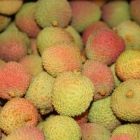 Letchis de Bras-Panon