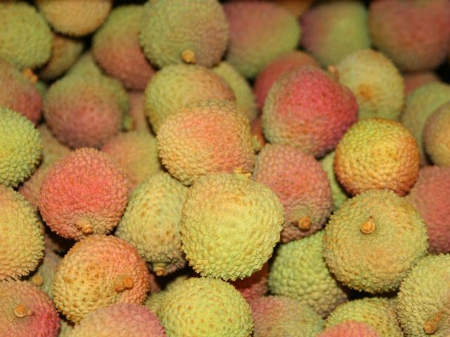 Letchis de Bras-Panon