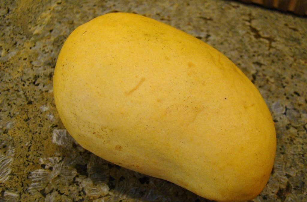 Mangue