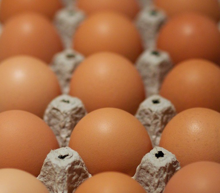 Oeufs