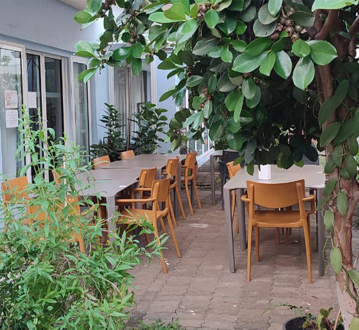 Terrasse végétalisée du Centre Seconde Vie Réunion